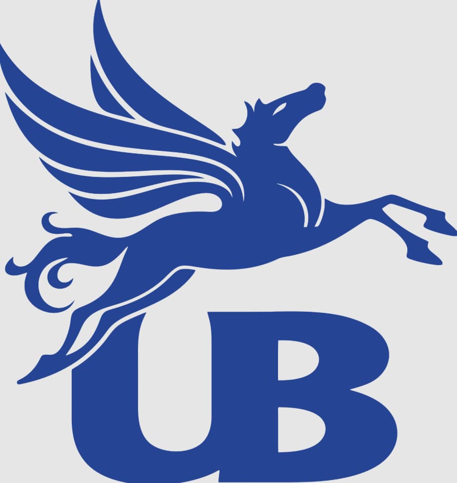 Royal Challengers Bangalore Owner